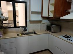 Dover Parkview (D5), Condominium #630138401